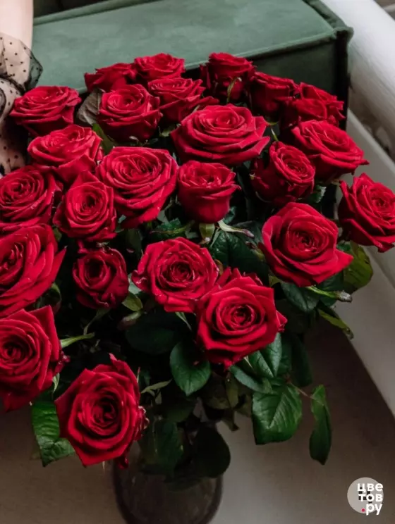 25 красных роз под ленту 