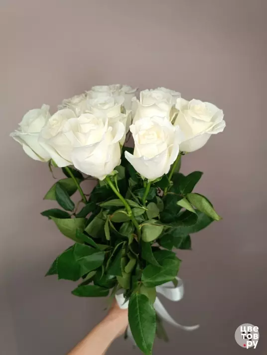 11 белых роз с ленточкой