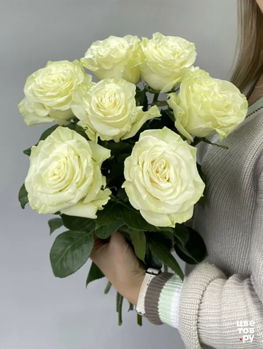 7 белых роз