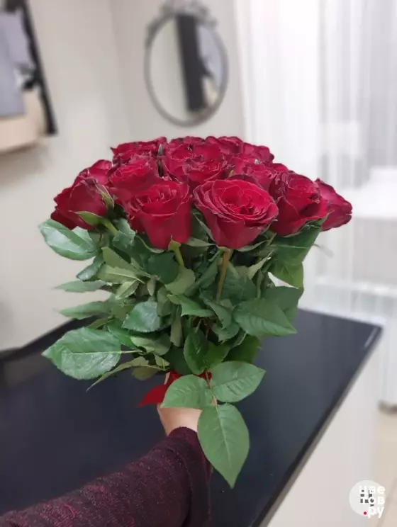 Роза красная 15