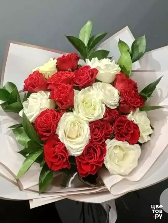 21 красно - белая роза с зеленью