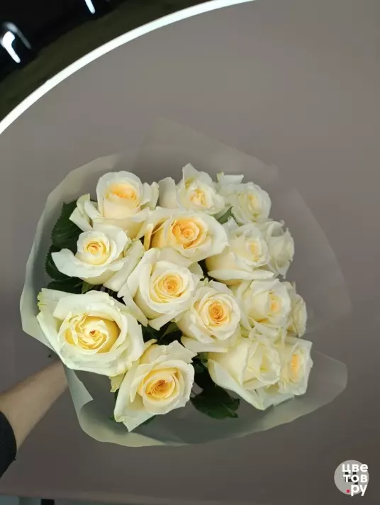 15 белых/ кремовых роз Эквадор в стильной упаковке