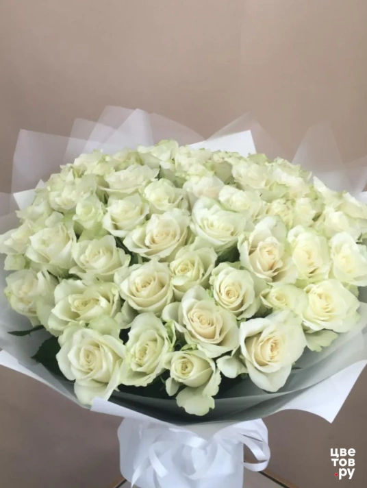 51 белая роза в двойной упаковке(Букет № 14)