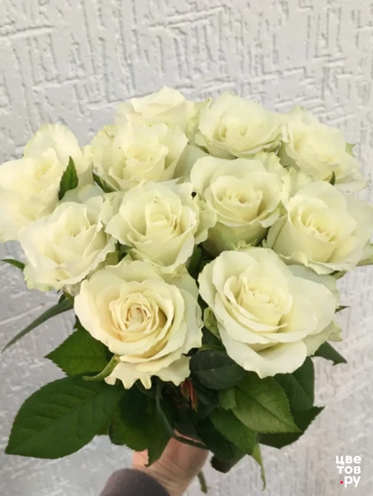 Белая роза 11 штук( Букет № 12)